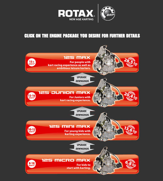 LSR Motorsports - 574-532-6180 - Rotax Max engines