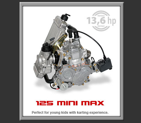 LSR Motorsports - 574-532-6180 -  Rotax Mini Max